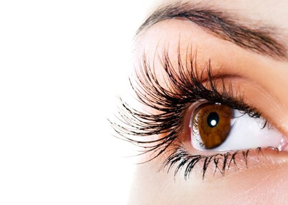 نحوه استفاده از ریمل مگا پروتئین ضد آب وت اند وایلد MEGA PROTEIN